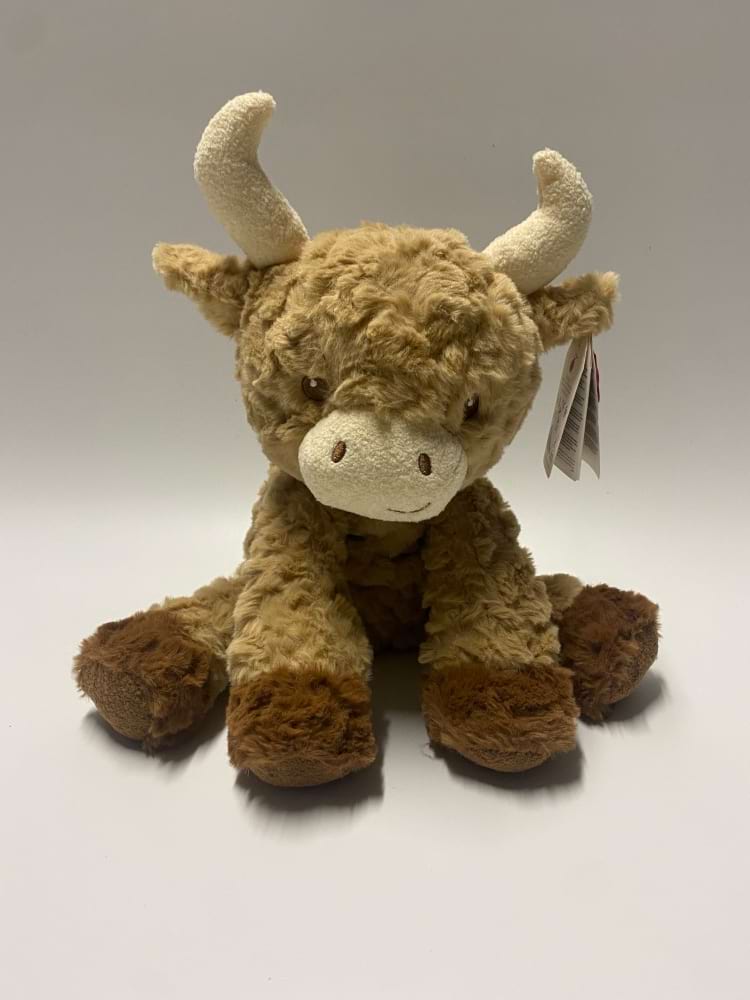 Higland Cow