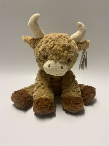Higland Cow