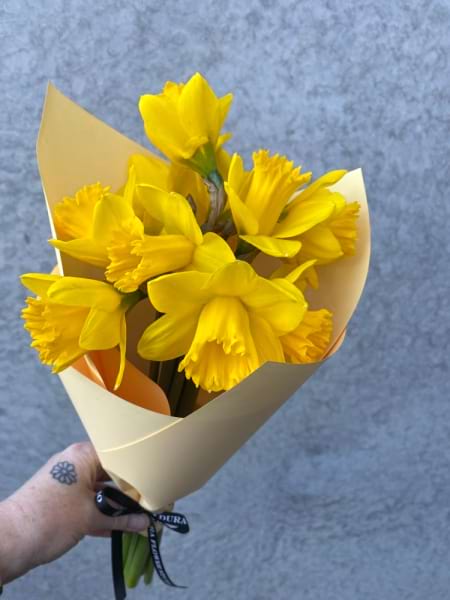 Daffodils