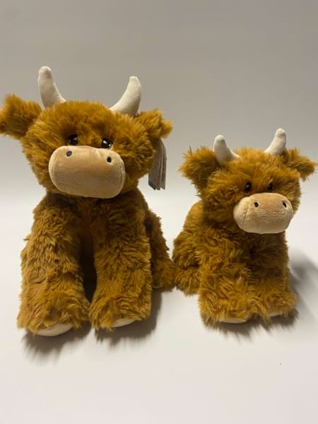 Highland Cow