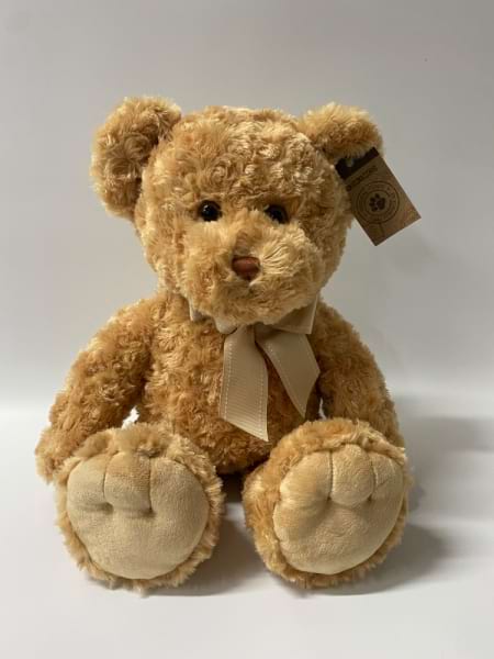 Brown Bear 53cm
