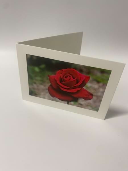 Red Rose Gift Card