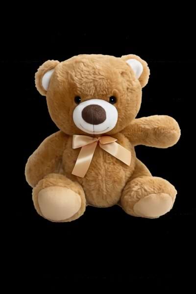 Teddy